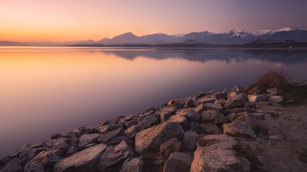 Photograph by Iris Lara