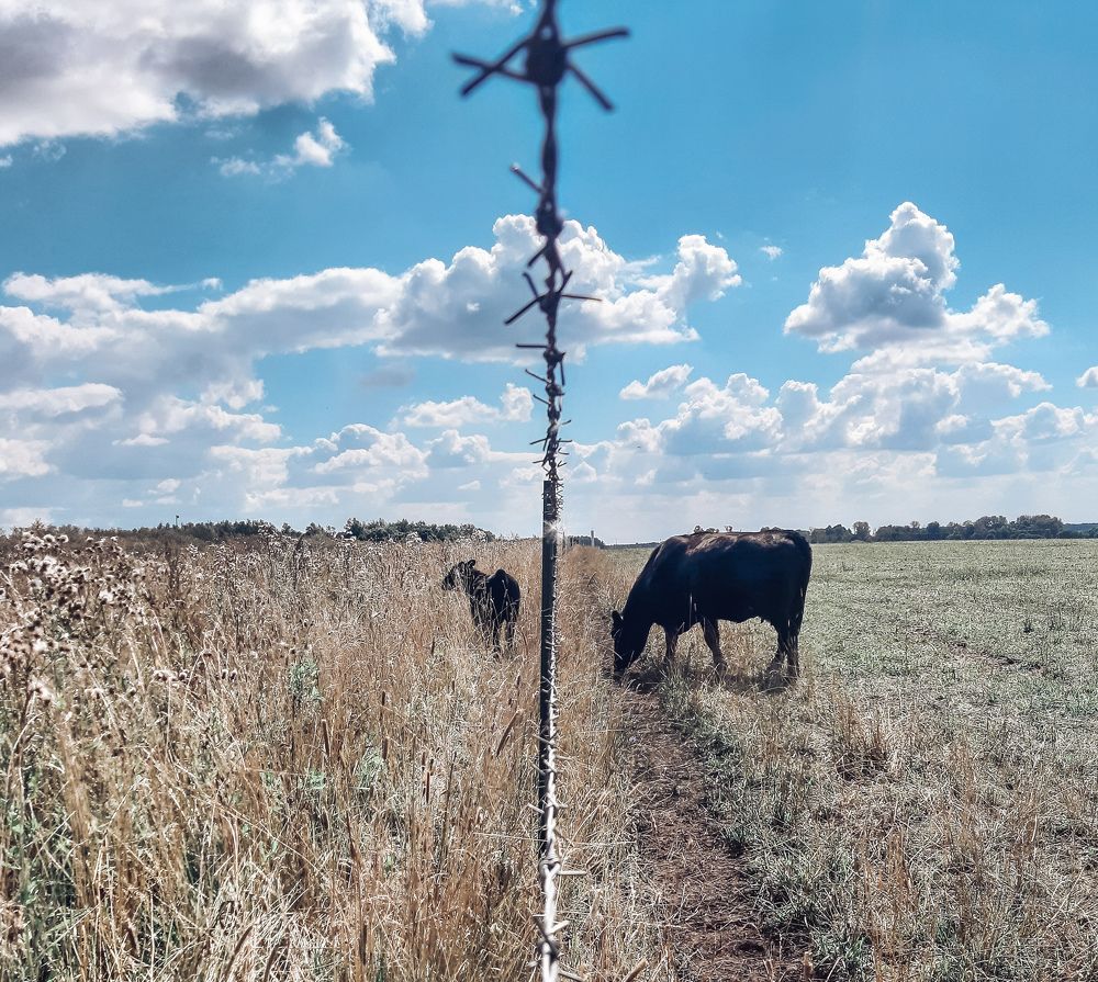 Photograph by Мария Шамина