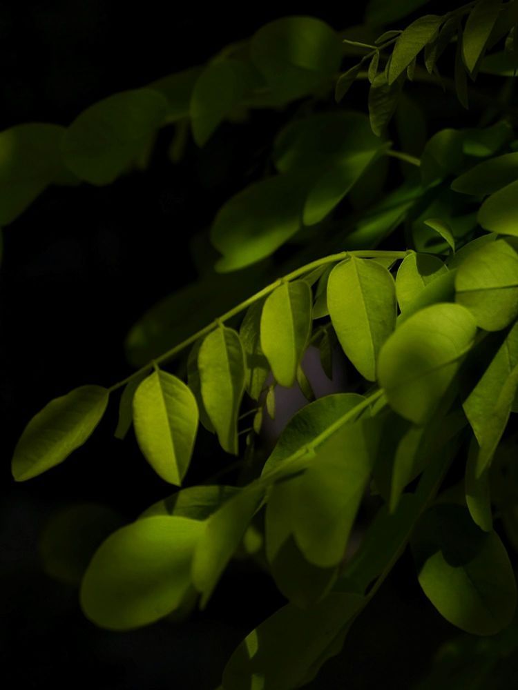 Photograph by Olga Zalunina