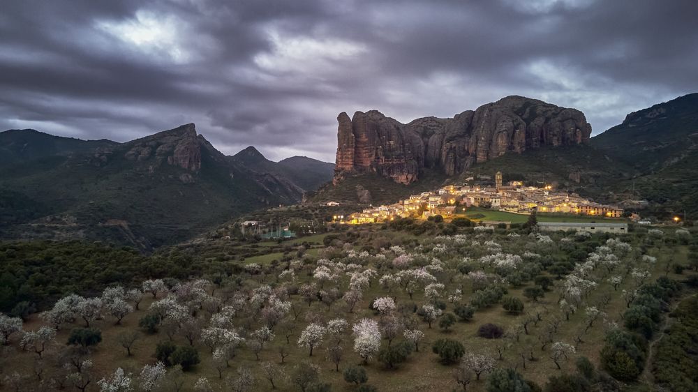 Photograph by Ricardo Gayán