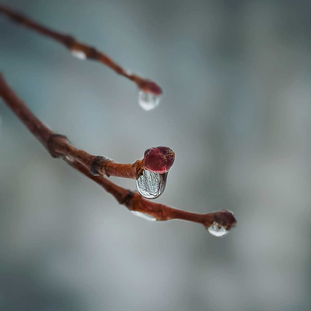 Photograph by Максим Лапин