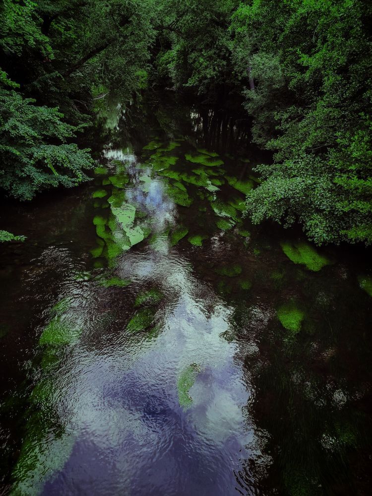 Photograph by Olga Zalunina