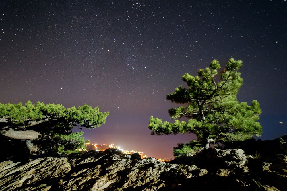 Фотография автора Дмитрий Смирнов