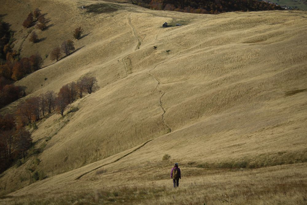 Фотография автора Наталія Савка