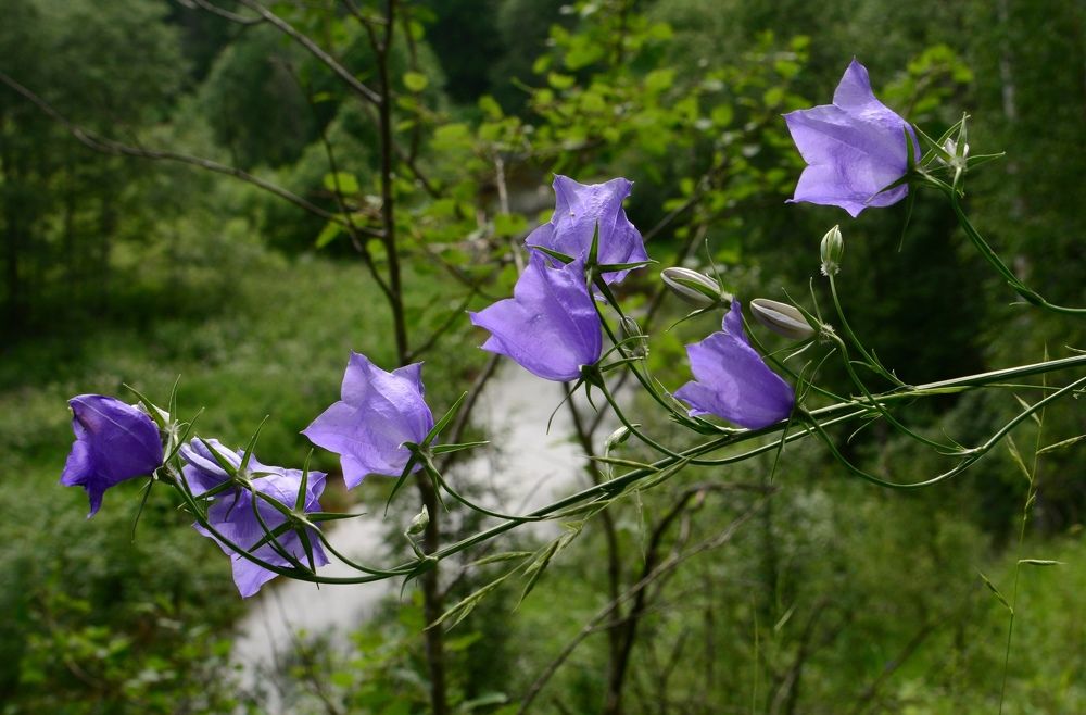Photograph by Сергей Волков