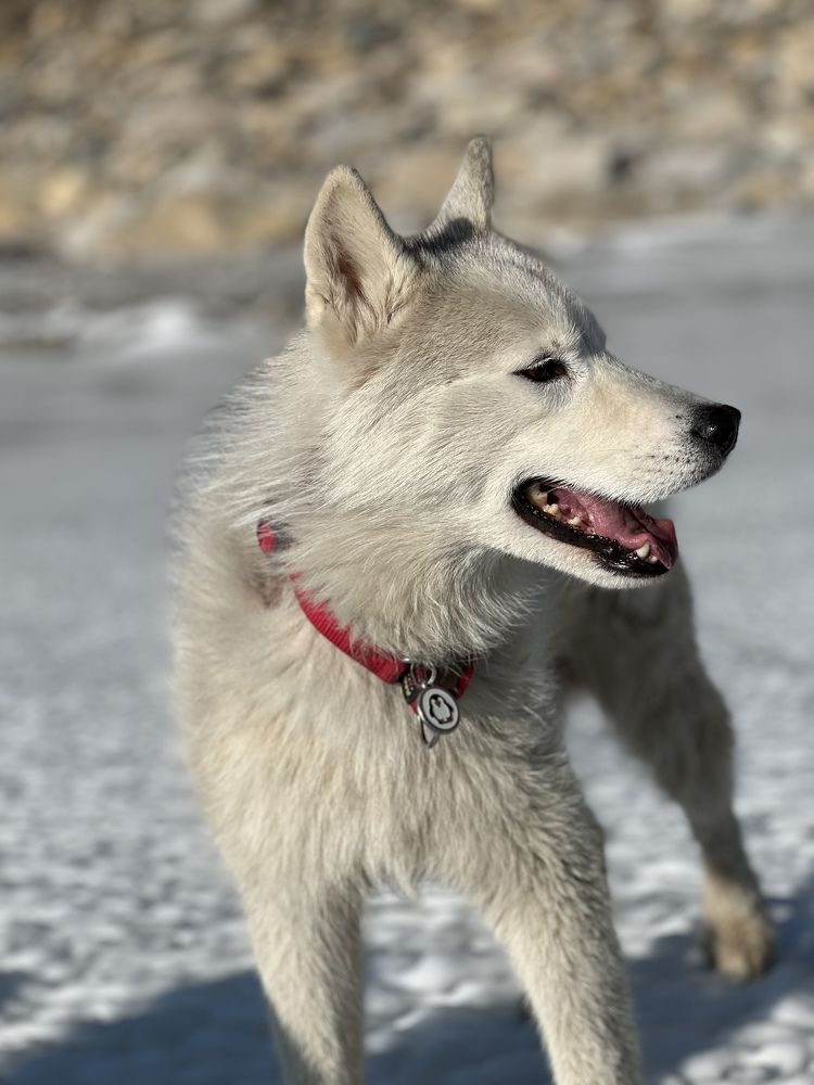 Photograph by Константин Нагорняк