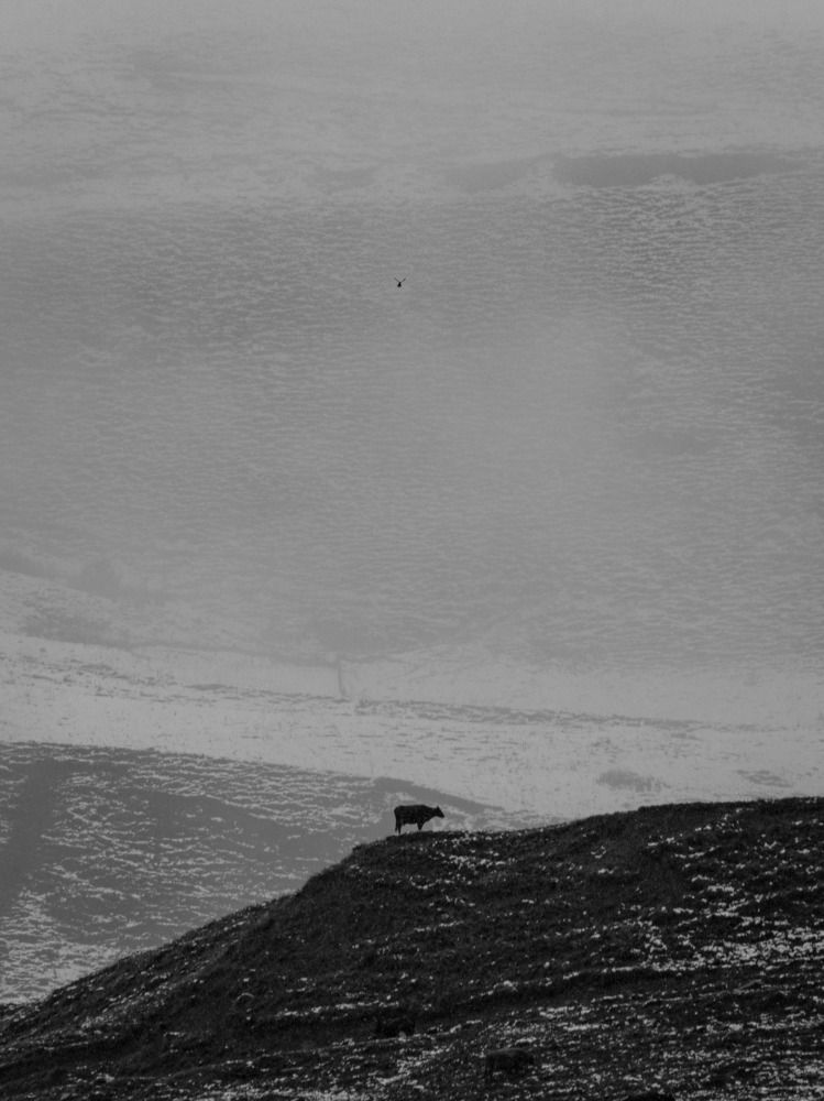 Photograph by Andrew Abrosimov