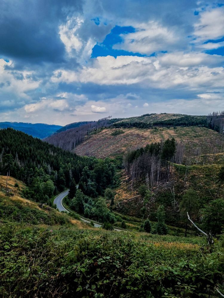 Photograph by Olga Zalunina