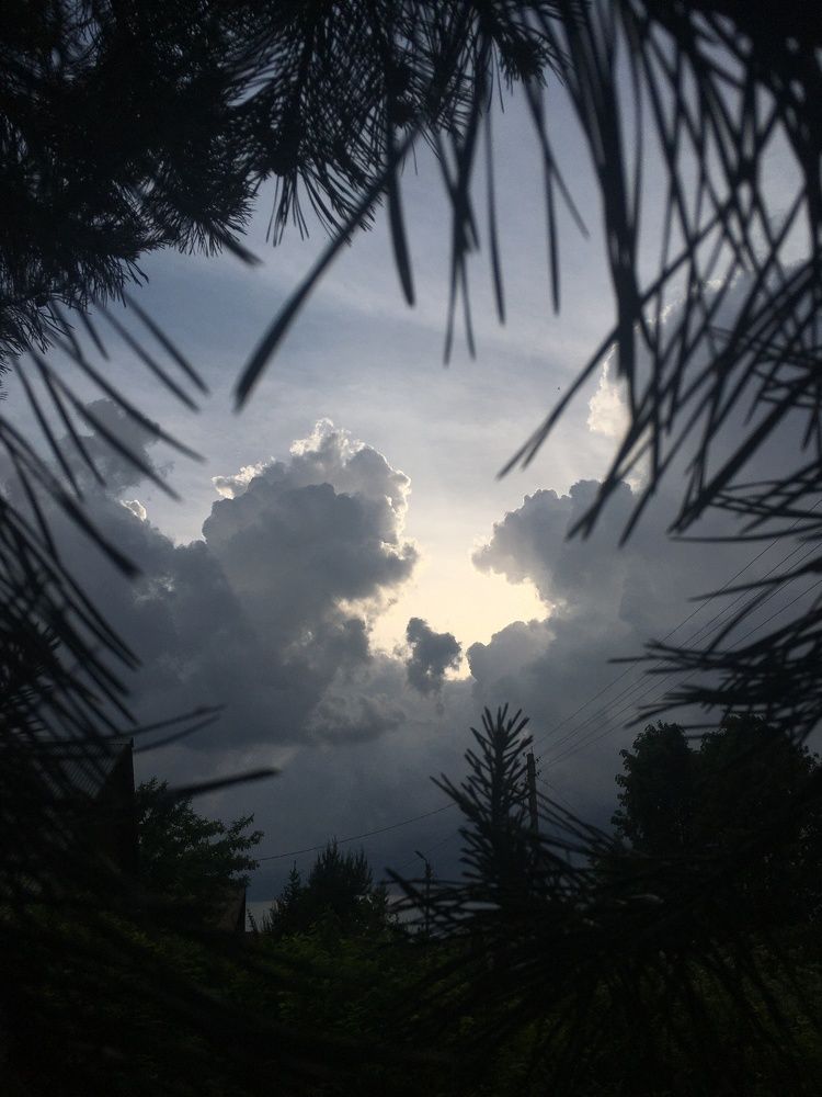 Photograph by Екатерина Носенко