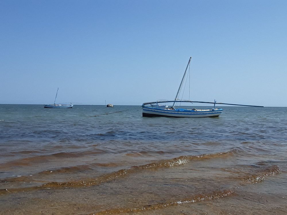 Photo #7337489