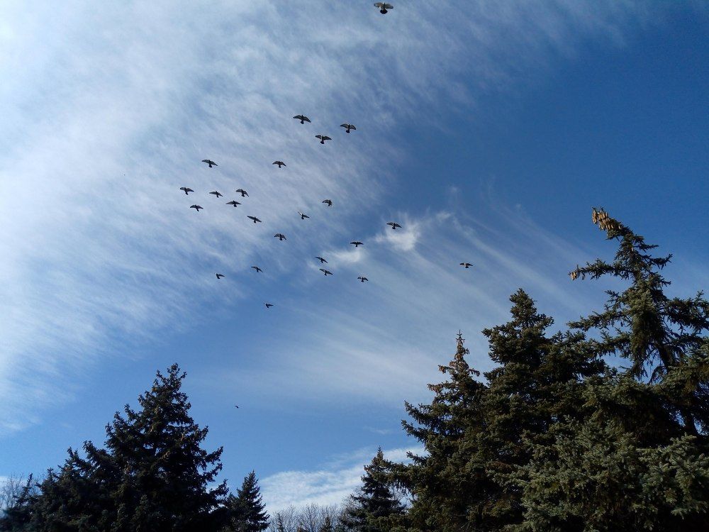 Photograph by Татьяна Пальчикова