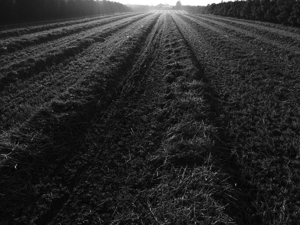 Photograph by Hait Roman