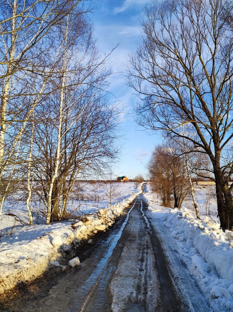 Photo #7337542