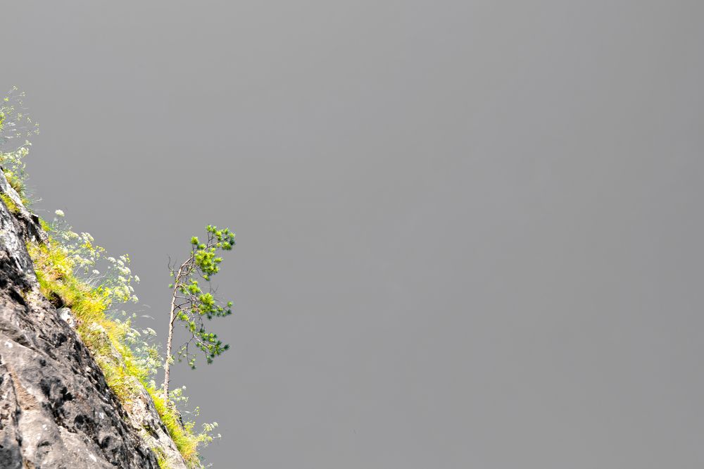 «Горный минимализм»