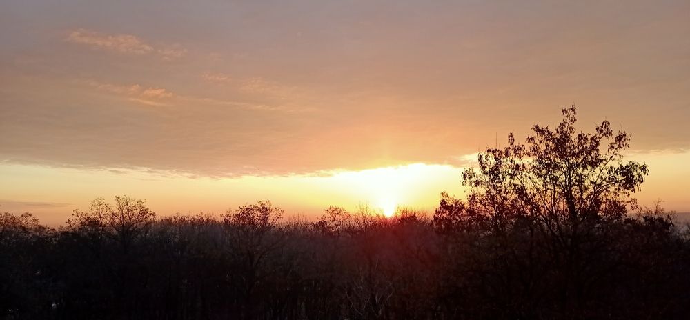 Фотография автора Ольга Винтер