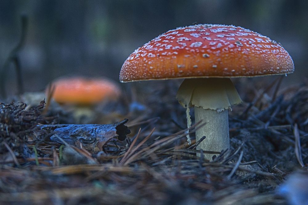 Photograph by Сергей Мордань