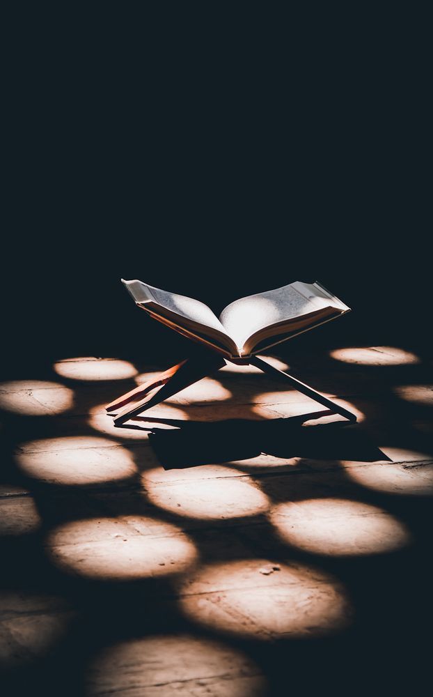 Photograph by ahmad hamzeh