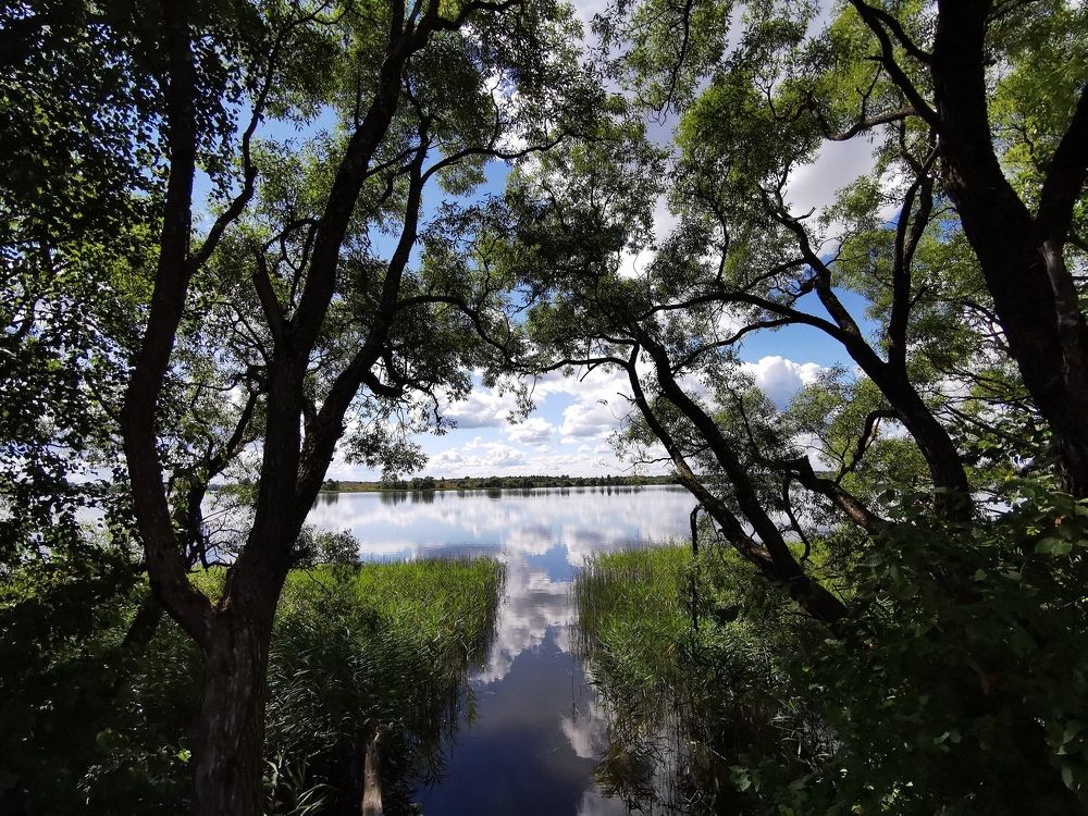 Photograph by Александр Колосков