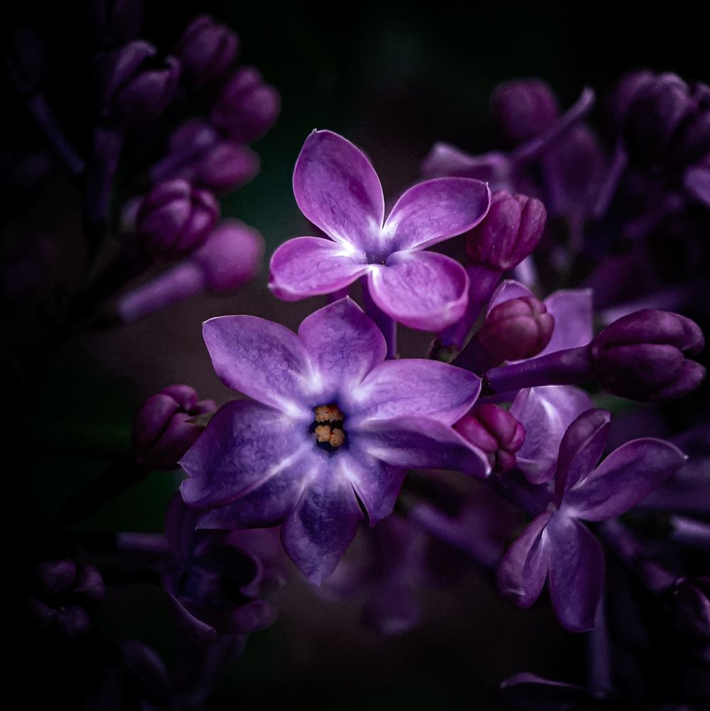 Photograph by Юлия Быкова