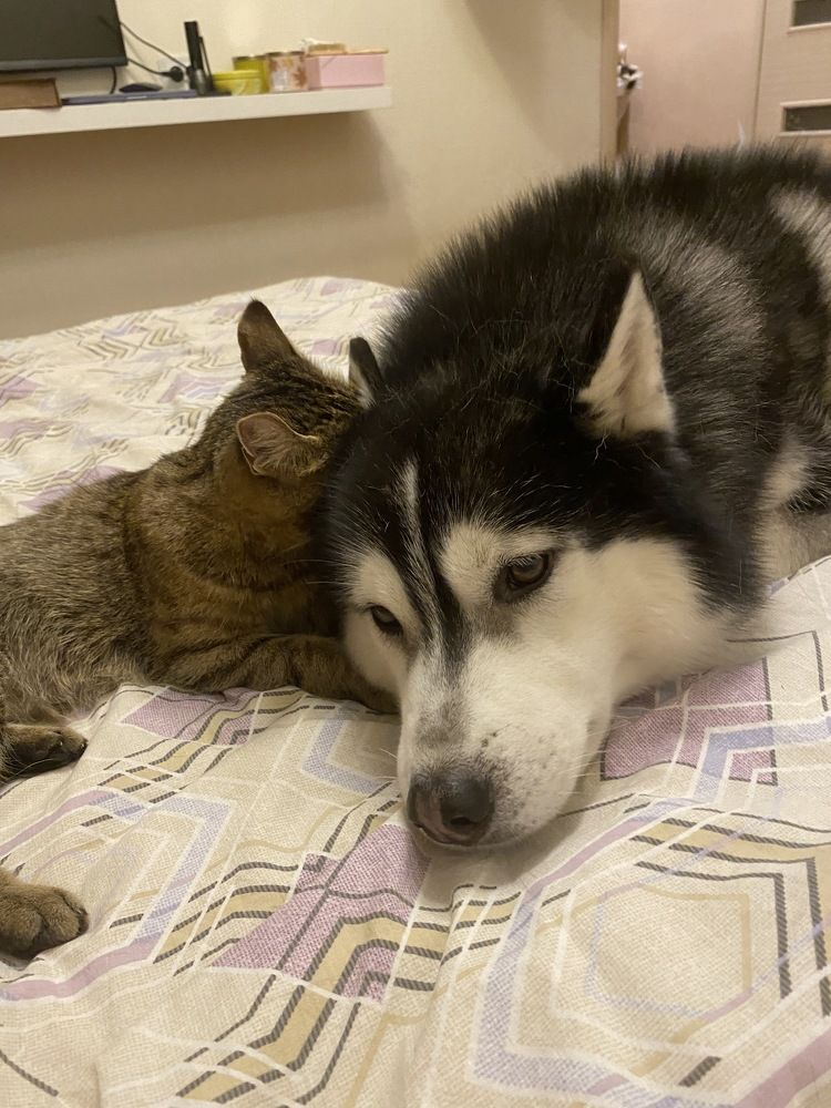 Photograph by Константин Нагорняк