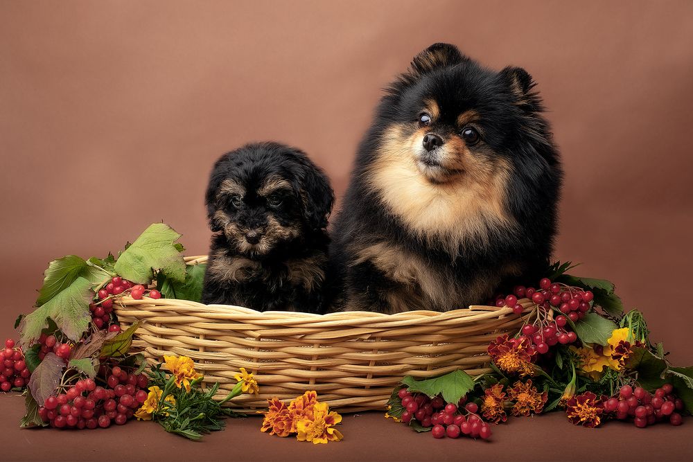 Photograph by Екатерина Терновая