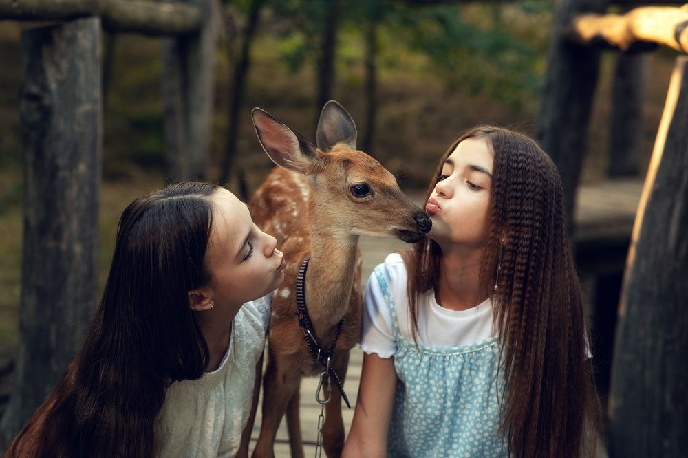 Photograph by Екатерина Терновая