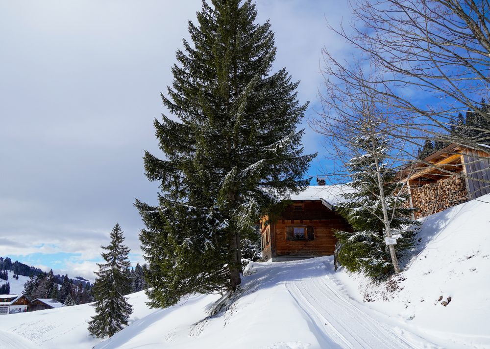 Photograph by Reinhold Seibel