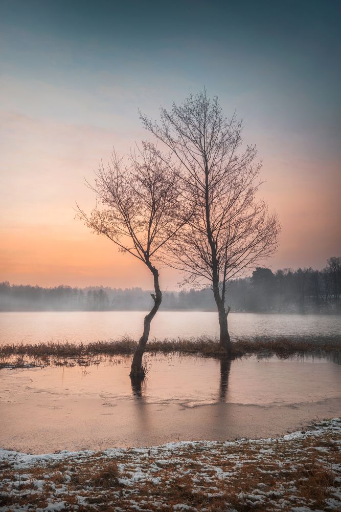 Photograph by Katarzyna Bochniak