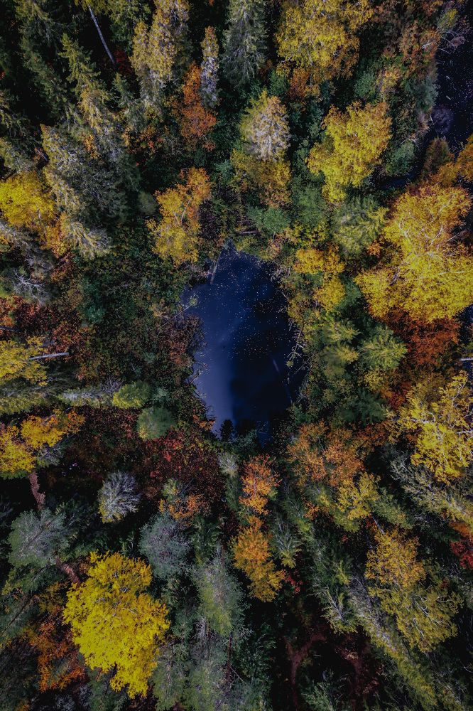 Photograph by Денис Гончаренко