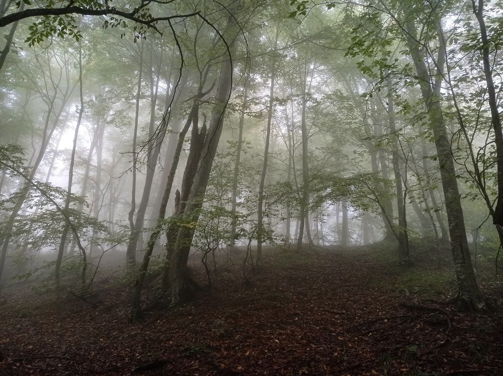 Photograph by Вадим Балаян