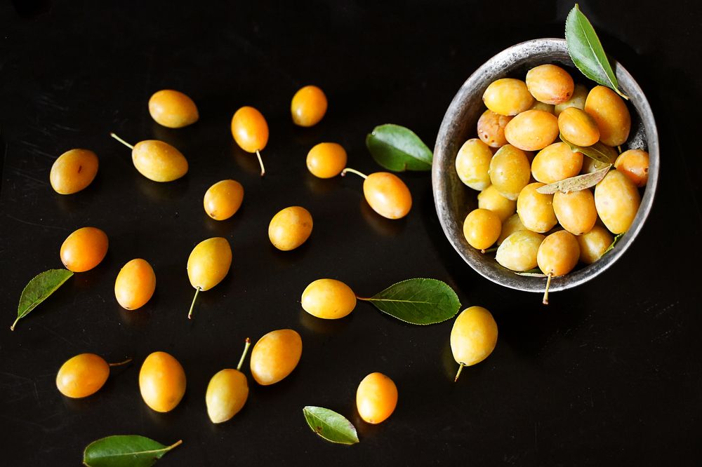 Photograph by Светлана Семенова