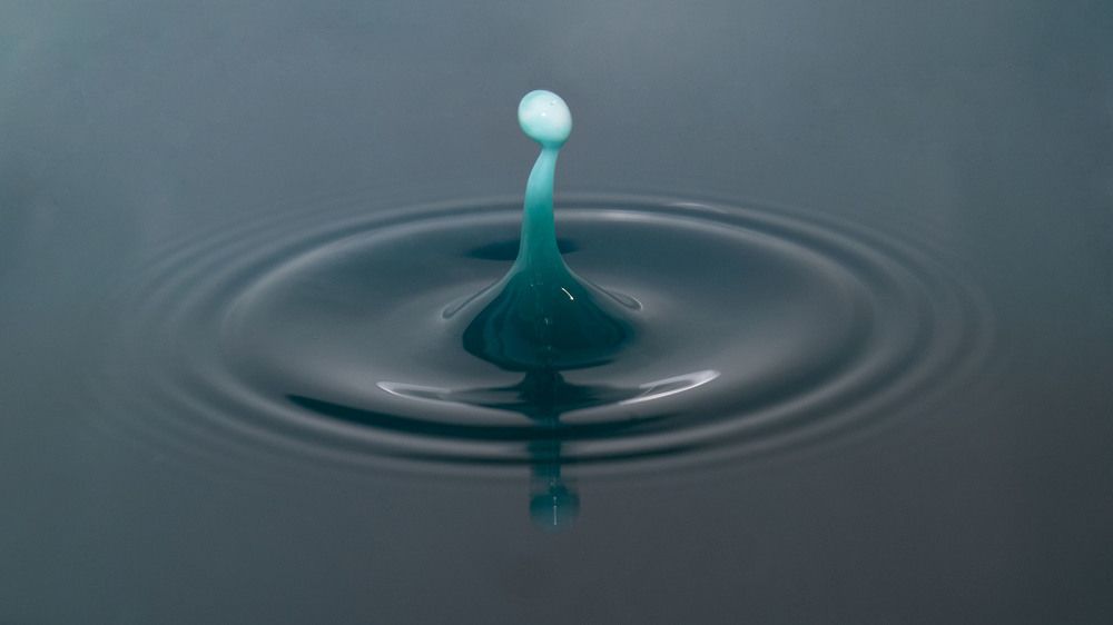 Photograph by Илья Бачурин