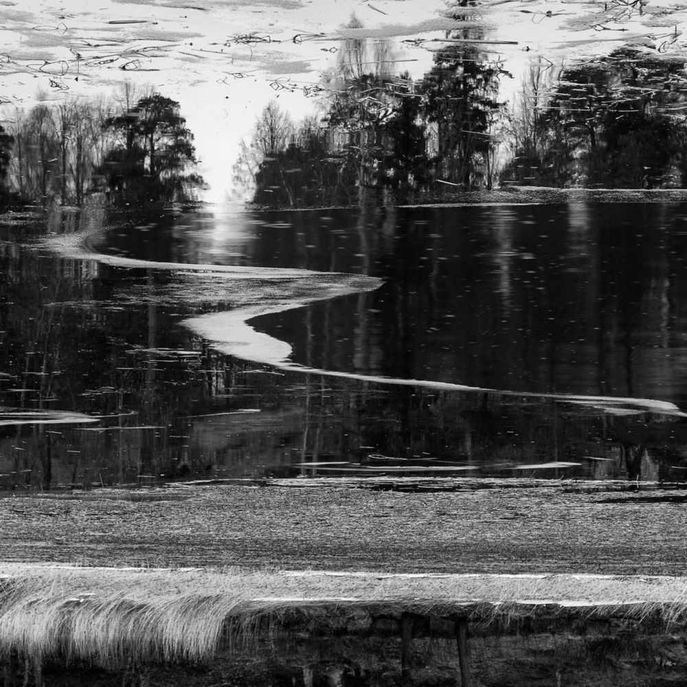 Фотография автора Евгений Корниенко