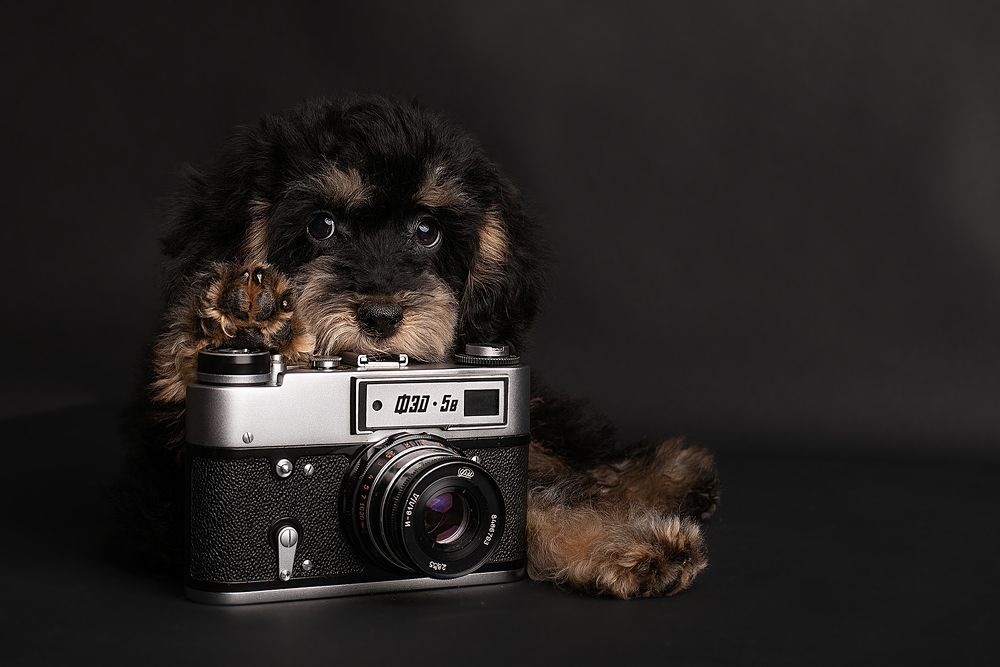 Photograph by Екатерина Терновая