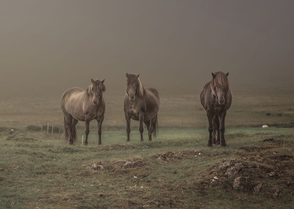 Photograph by Ernestas Balcikonis