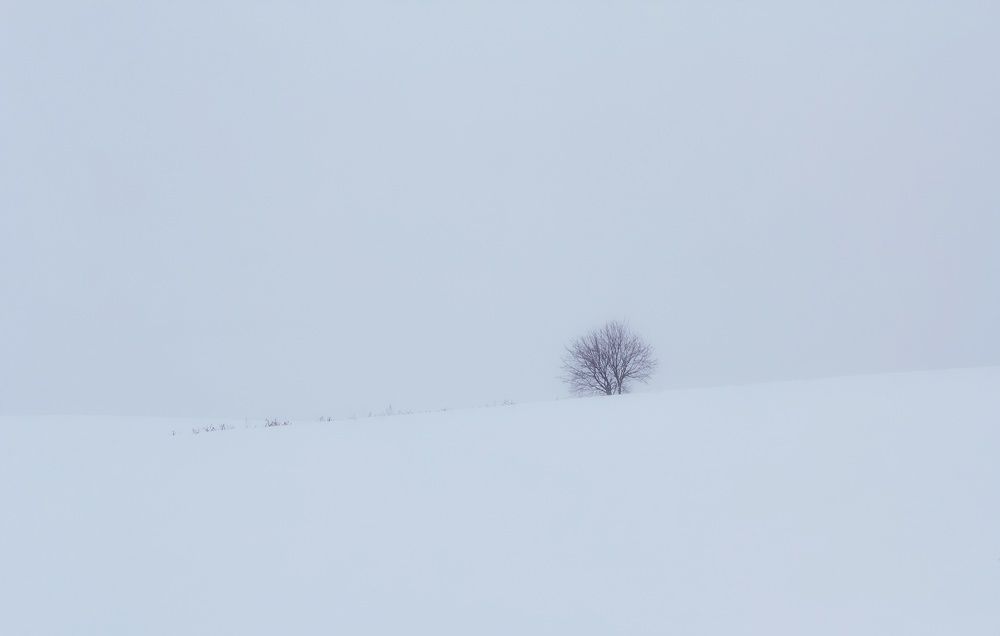 Фотография автора Андрей Врубель