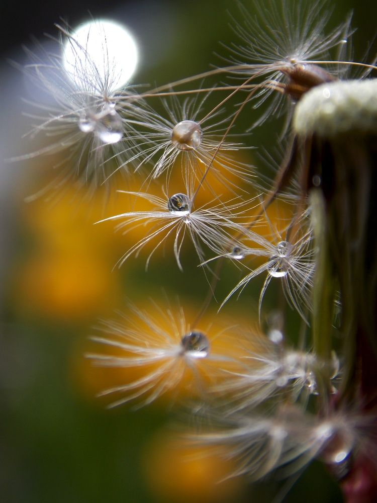 Photograph by Olja Simović