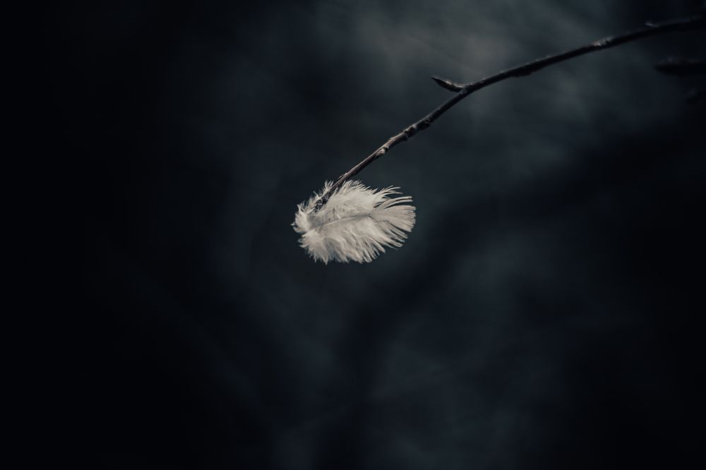 Photograph by Рени фон Моррен