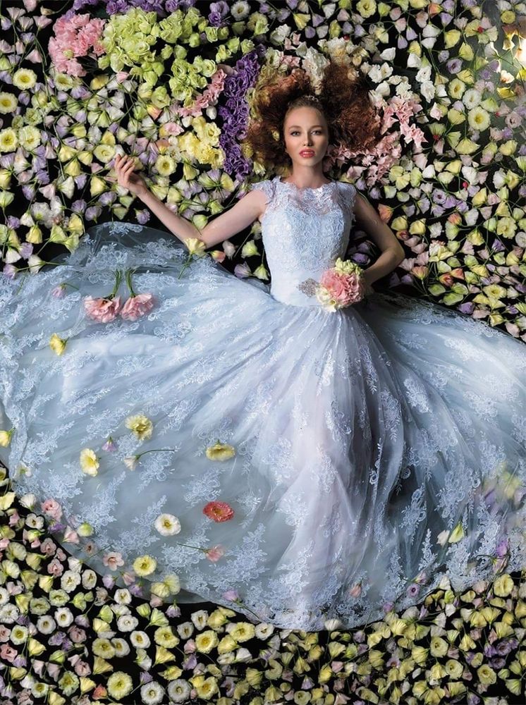 Photograph by Stav M Farba