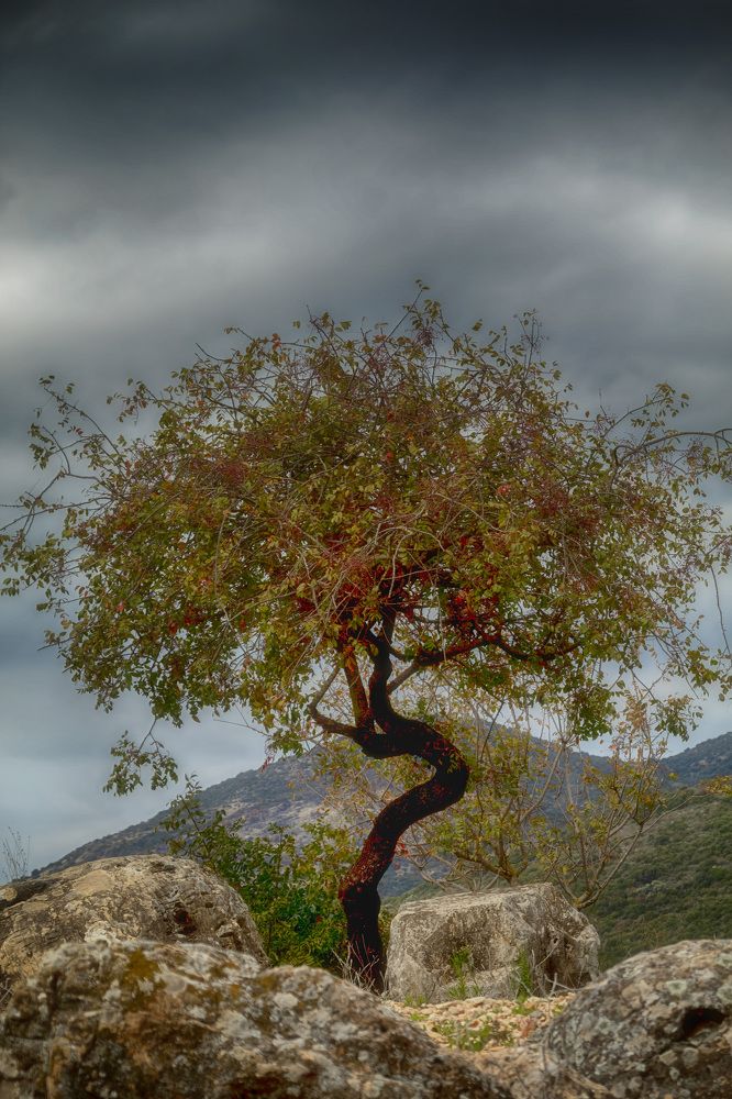 Photograph by Людмила Бутова