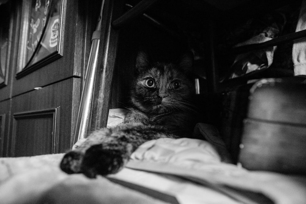 Photograph by Гульнара Айнетдинова