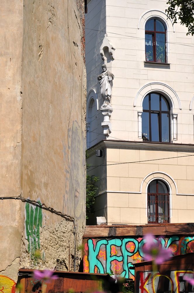 Photograph by Светлана