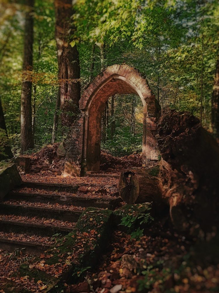 Photograph by Сергей Жигульский