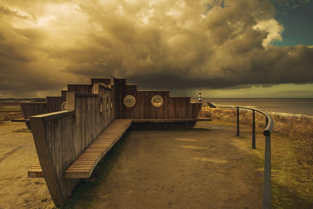 Vogeltelpost Breskens