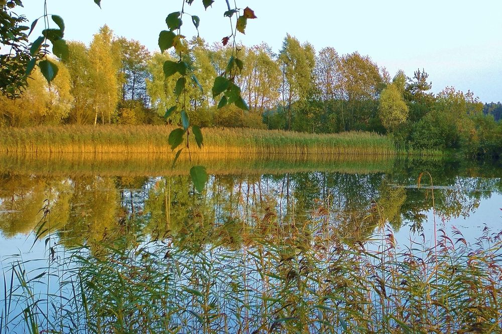 Photograph by Анатолий Майбуров