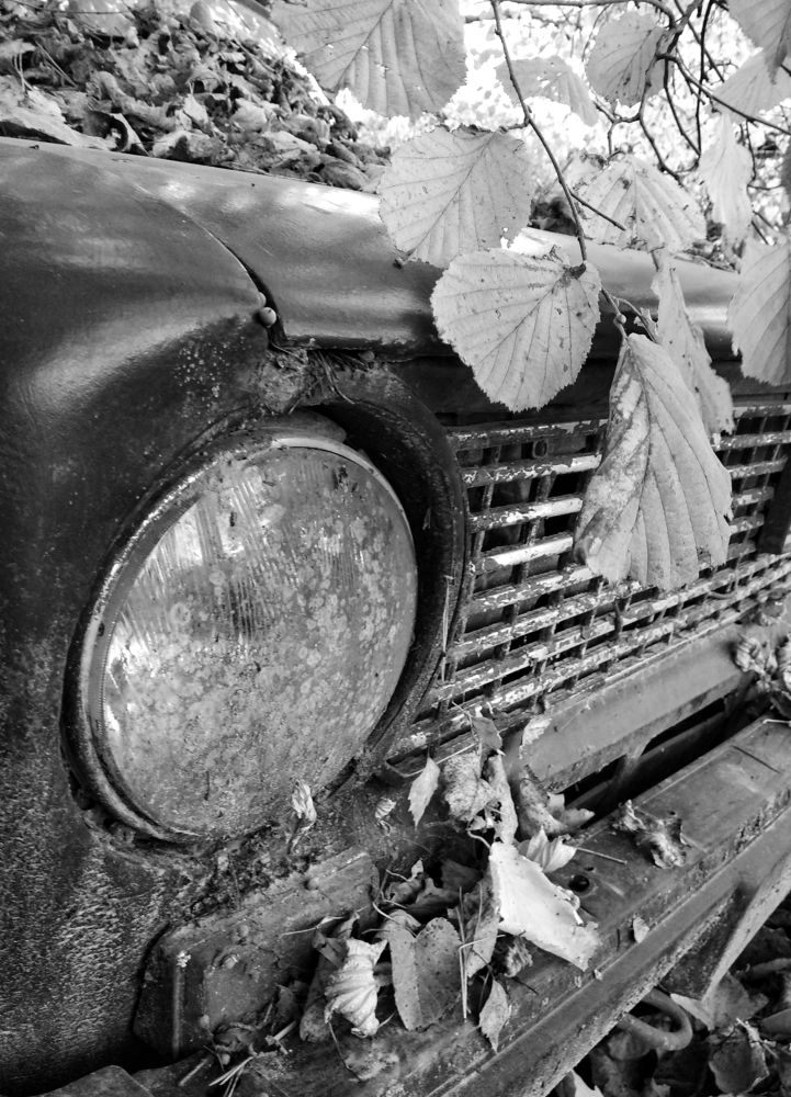 Photograph by Анна Евдокименко