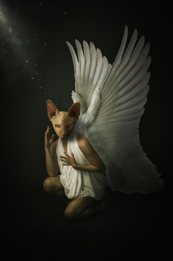 Photograph by Nain Leon