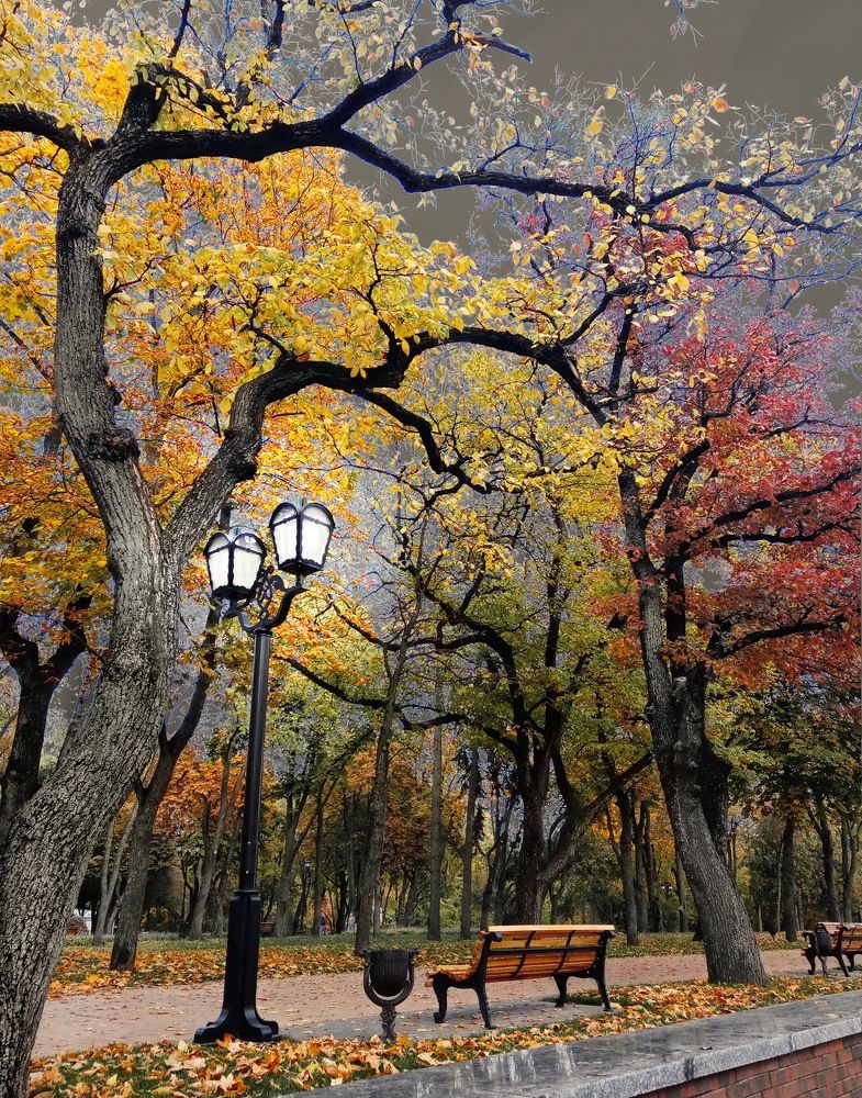 Photograph by Антонина Нечай