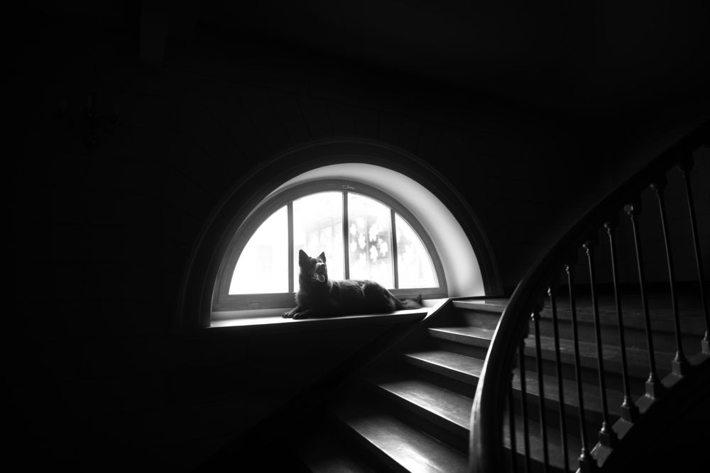 Photograph by Kasia Heinrich