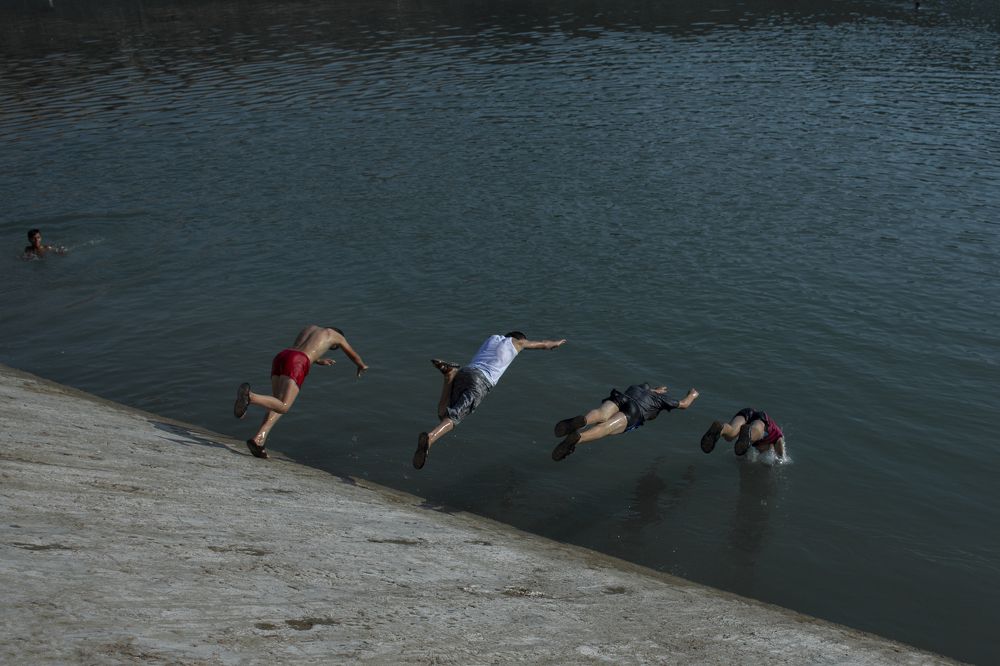 they live in the winter